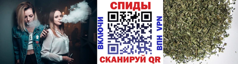 что такое   Алексин  Бутират буратино 