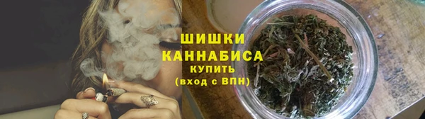 PSILOCYBIN Алзамай