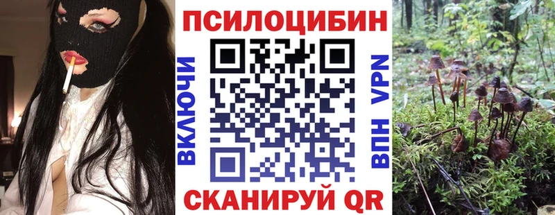 Псилоцибиновые грибы GOLDEN TEACHER  Алексин 