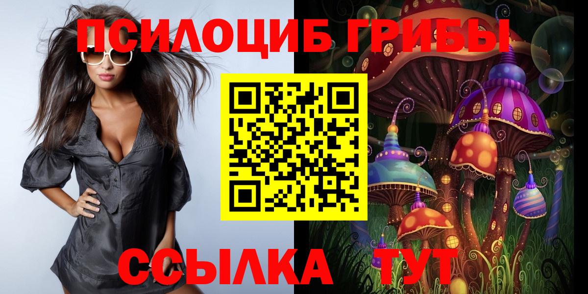Галлюциногенные грибы Cubensis Алексин